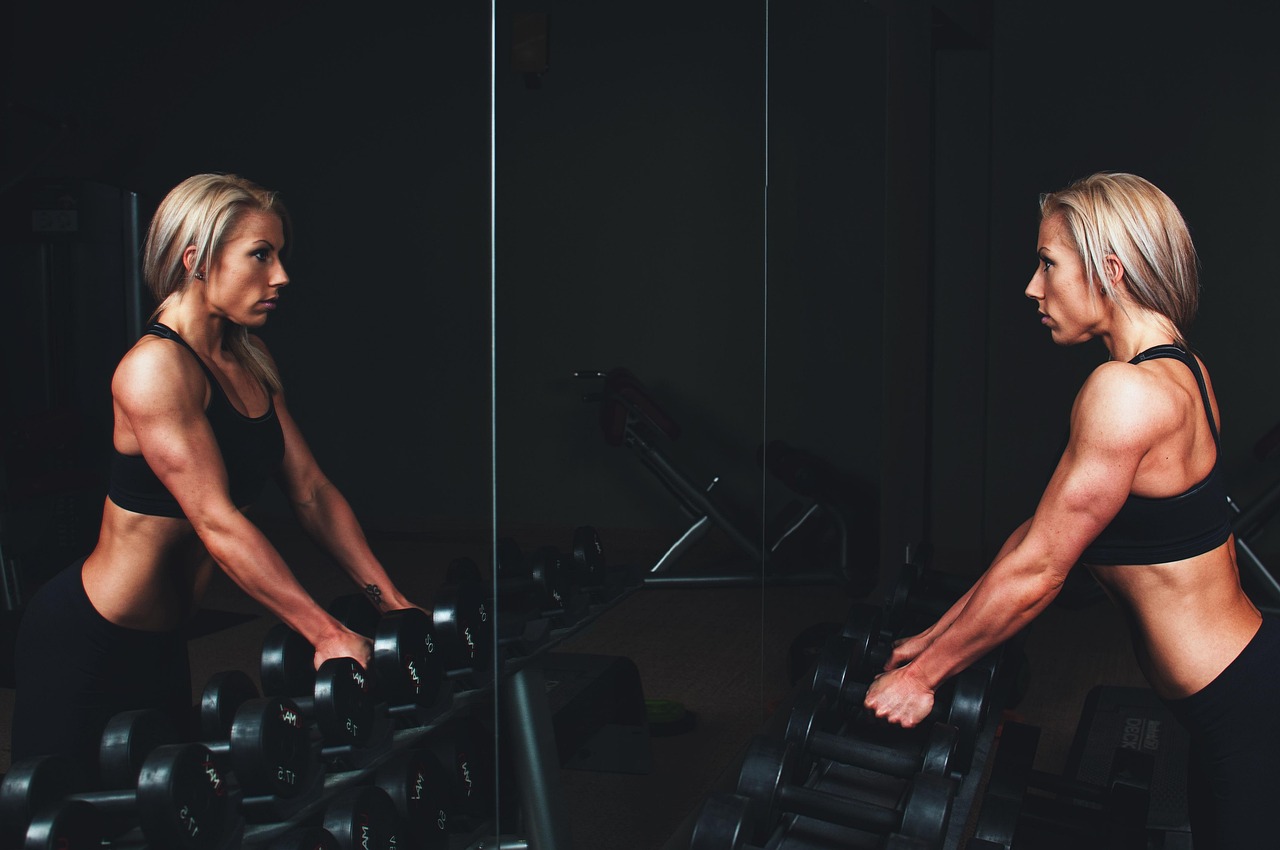 Barracudapower Fitness Club collection